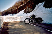 Col de la Schlucht, Vosges, 19.4.2003